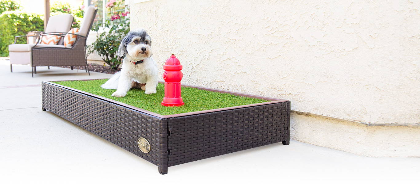 Dog potty outlet system