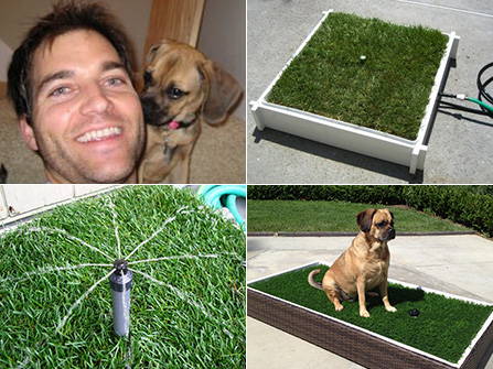 Early Porch Potty prototypes, Brandon with his dog, and the original grass potty