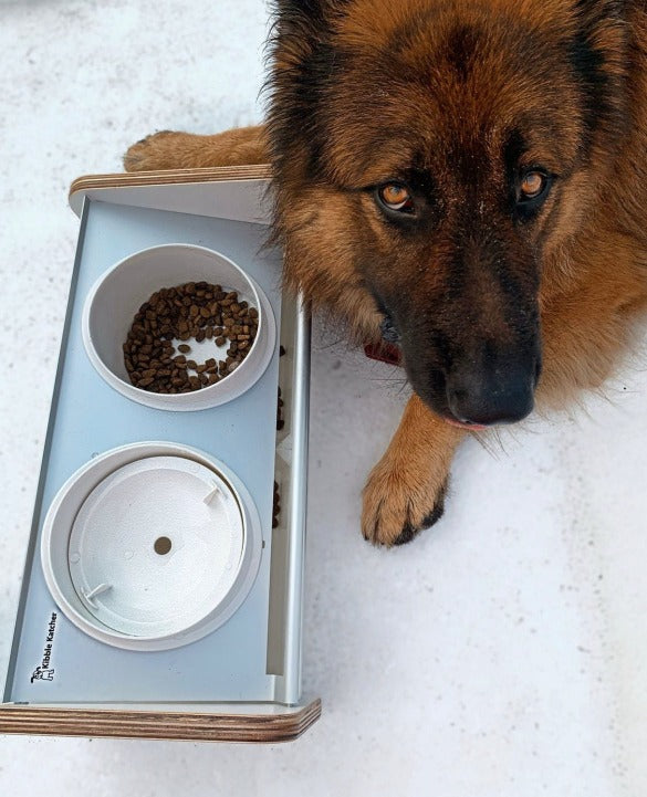 Kibble Katcher