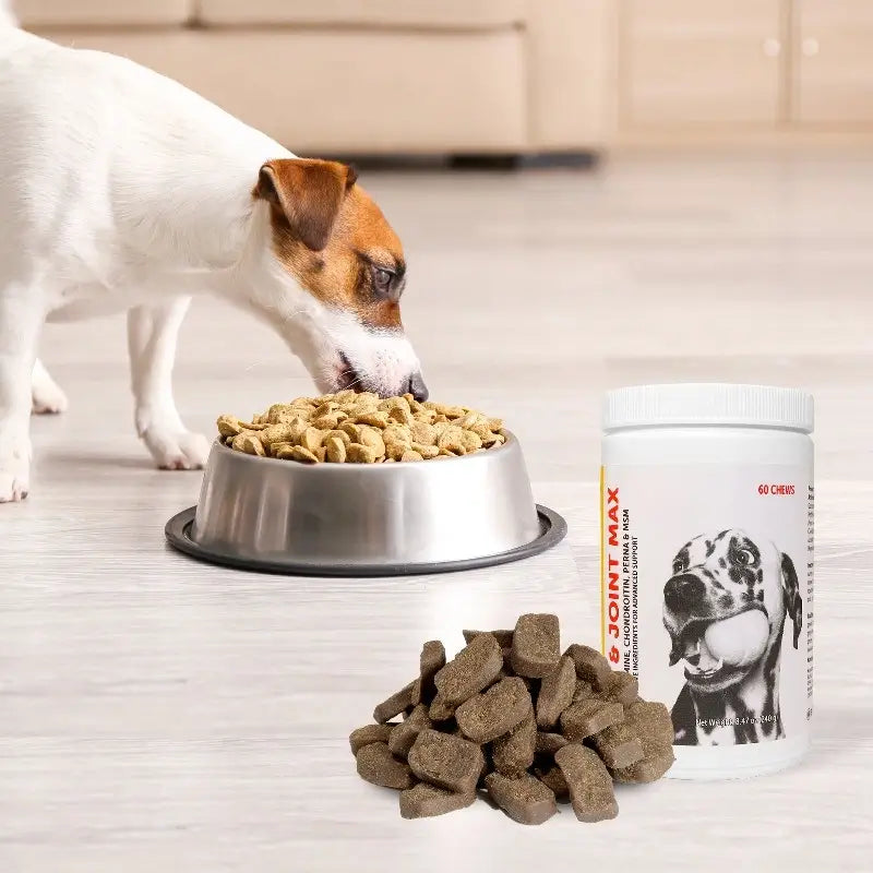 Hip and Joint Supplement for Dogs