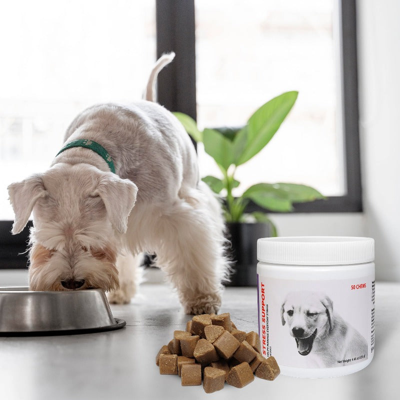 Stress Support Supplement for Dogs
