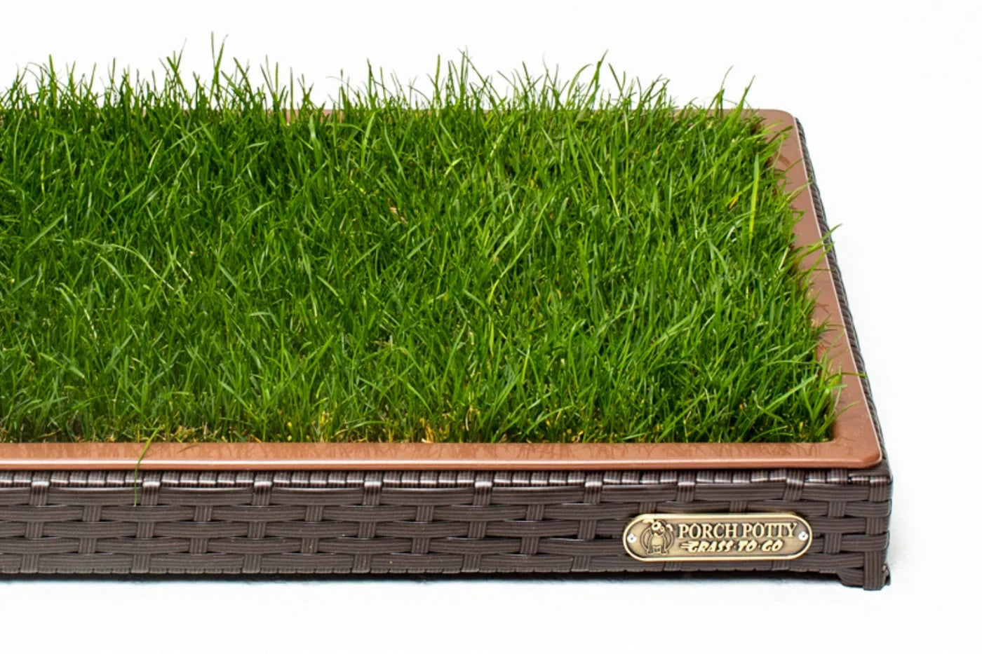 Fresh real sod fitted inside the reusable CLASSIC Mini frame