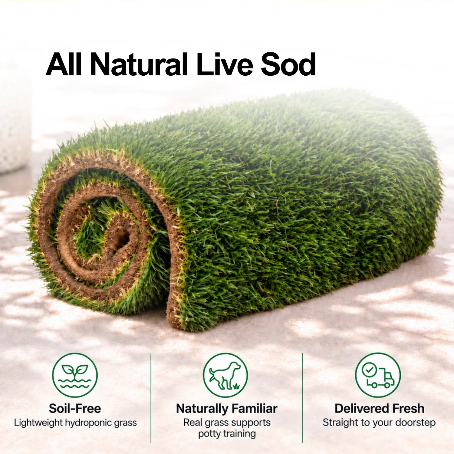 Soil-free live sod with natural grass and fresh delivery