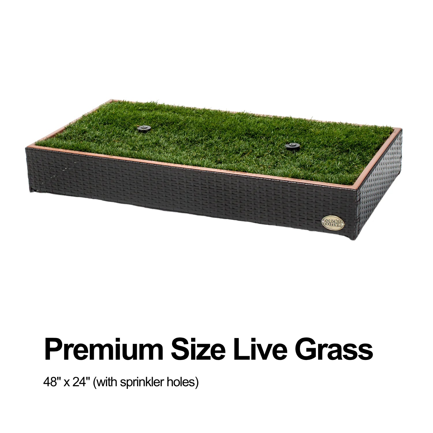 Premium live grass, 48 by 24 inches with sprinkler holes