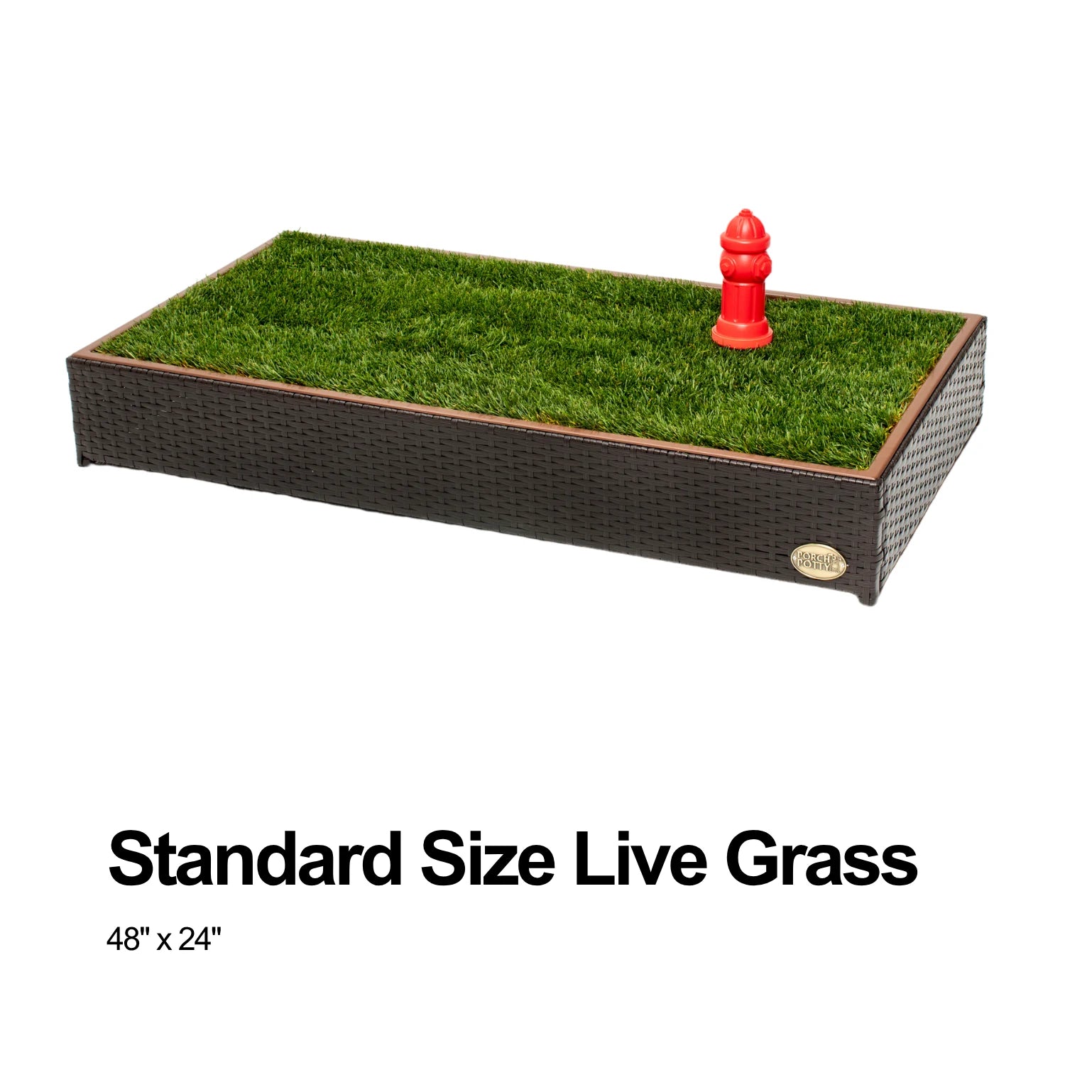 Standard live grass, 48 by 24 inches