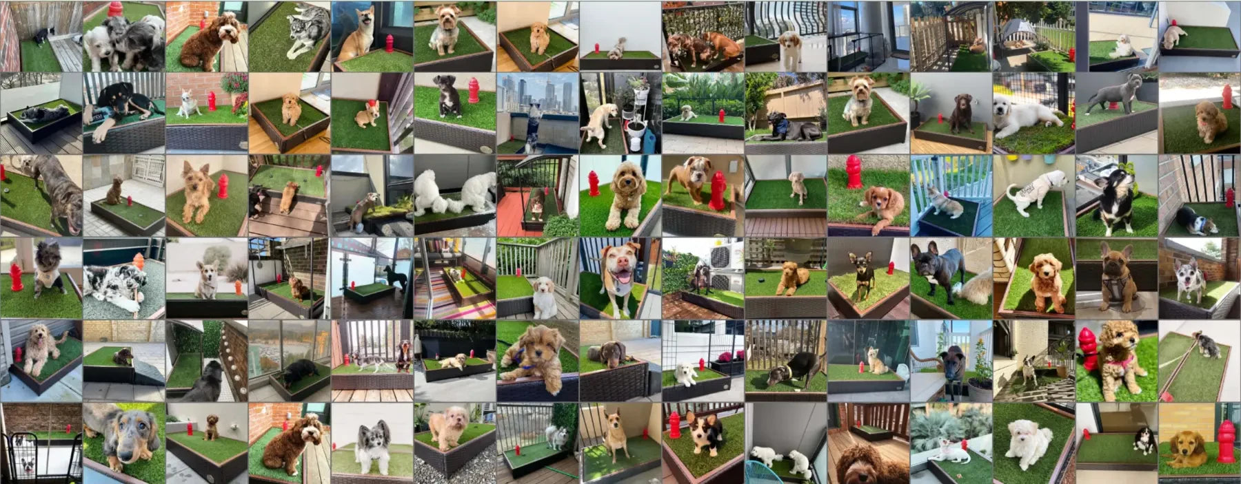 A collage of dogs using Porch Potty in their families’ homes