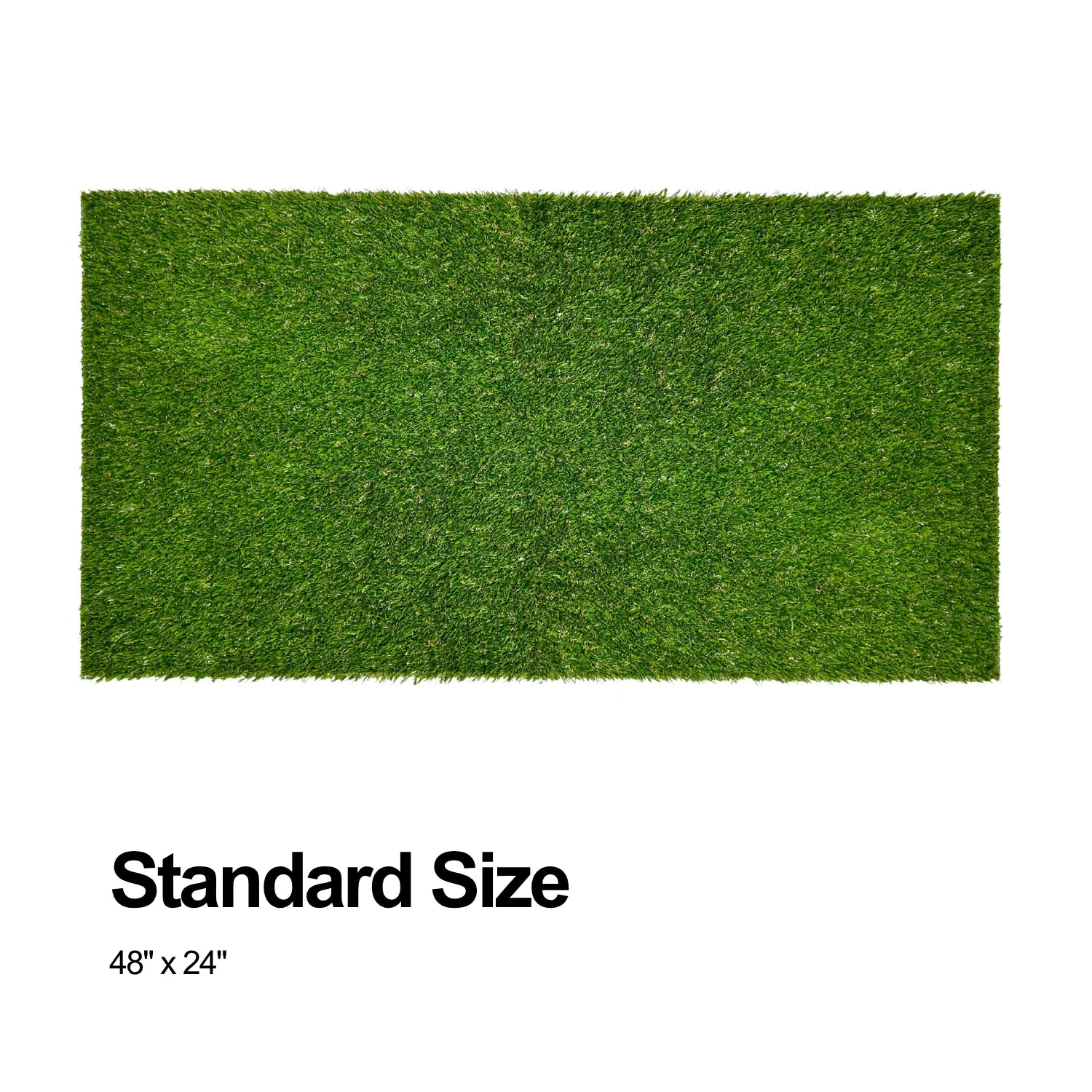Standard-size synthetic grass, 48 by 24 inches